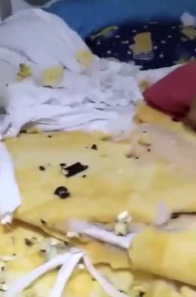 Chico &eacute; completamente inocente 