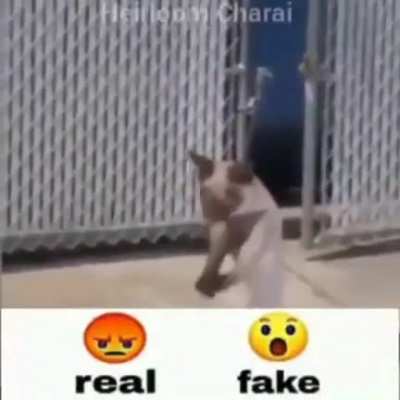 Real ou feike????🤯🙄😡😋🤨😋🤨👨&zwj;🦲🤨