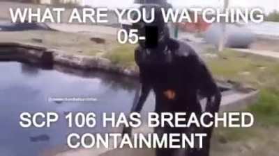 Video_irl