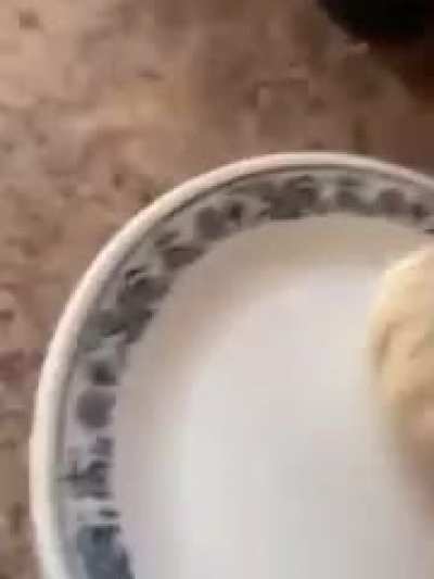 Tough cookie