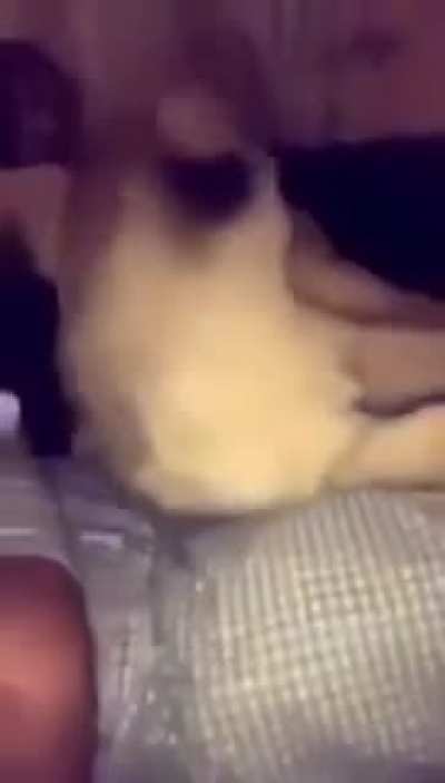 monky