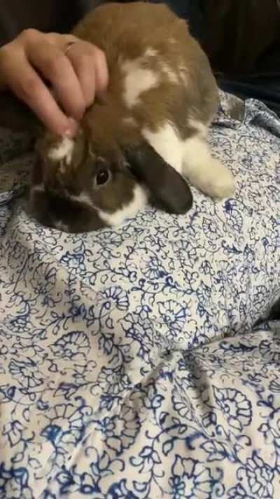 Cuddly boy 💜