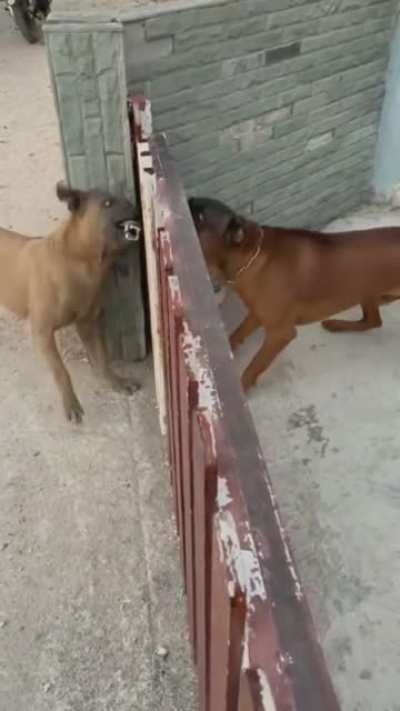 To be tough