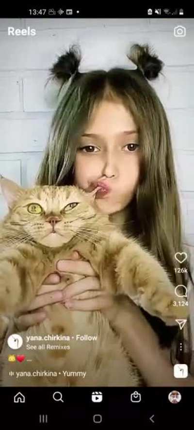 That poor cat....