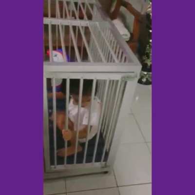 She wanted the dog out of the cage.
