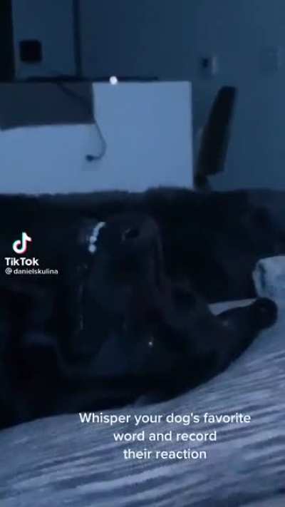 Whispering your dog&rsquo;s favorite word