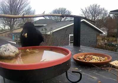 Nothing beats soup on a cold day.