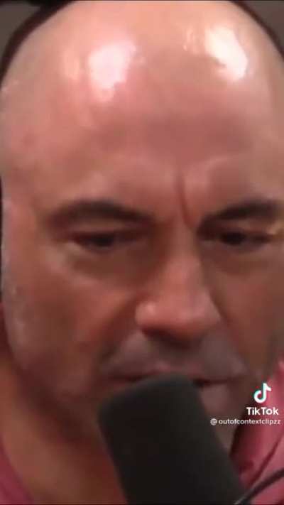 Joe Rogan is a ladies man