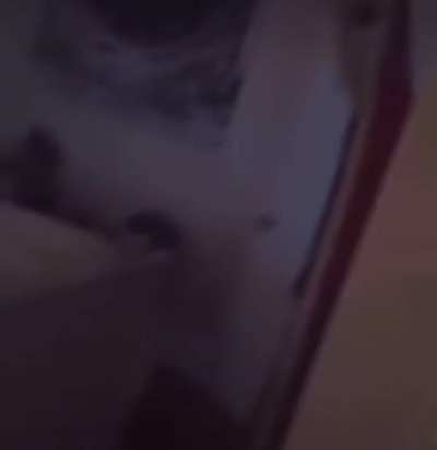 Freddy