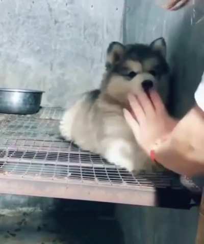 No, it's my turn