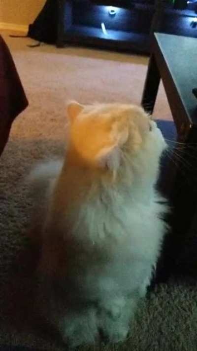 Max wants to be picked up
