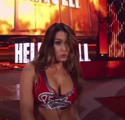 Hell In a Cell 2014
