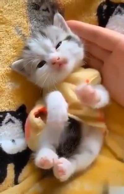 Немного милоты