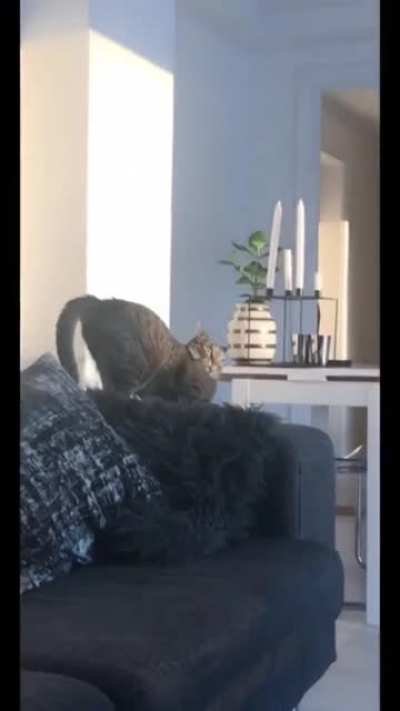 Is she broken?