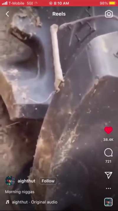 What in the world is this?