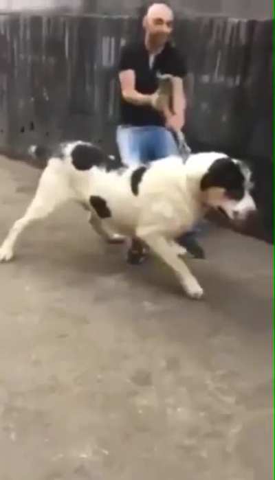 &ldquo;He just wants to say hi bro! Let him sniff your palm!&rdquo;