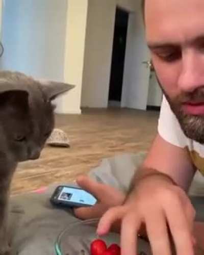 Тебе вершки а мне корешки