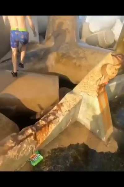 HMB while I Parkour