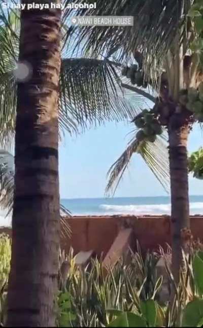 Augusto story