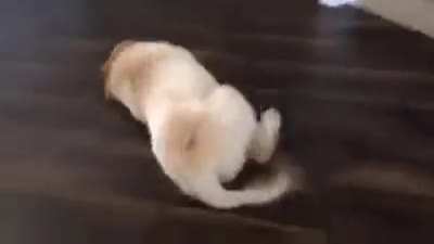 HUMAN! HI! WHAT&rsquo;S U&mdash; OH FUCK FUCK FUCK HI FREN