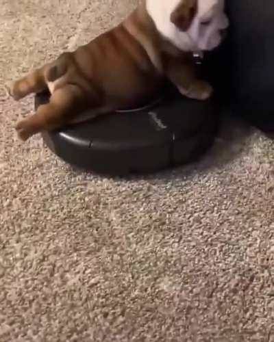 😍
