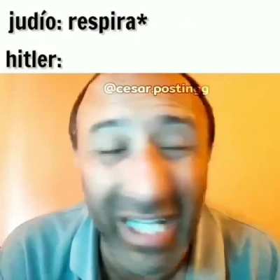 Huevito rey raza aria pura