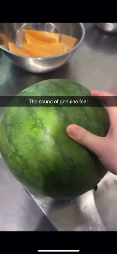 Melon