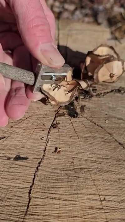 Get yourself a pencil sharpener for your survival kit, it&rsquo;s extremely functional.