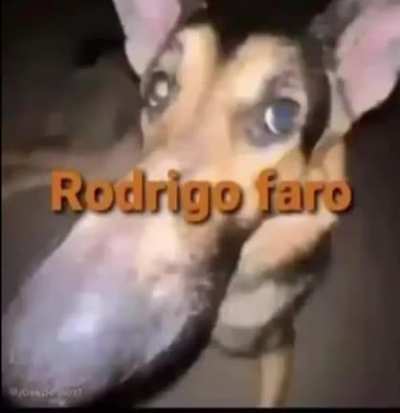 deixa eu dae uma cafungadinha em voc&ecirc;? 😳