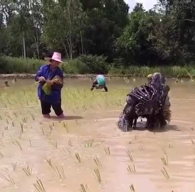 Vietnam is wyld😂☠️