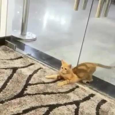 "I can do it!"