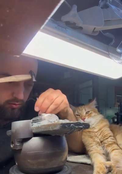 Awwwww