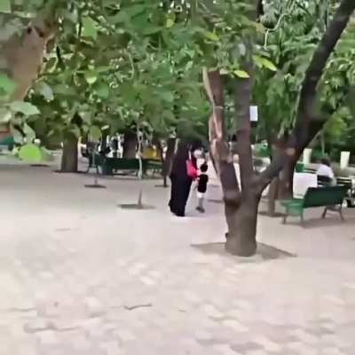 PENGUIN 🐧