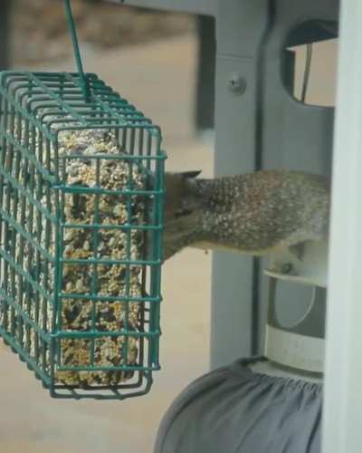 Baby birds&hellip; Apparently