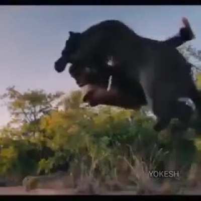 Rasika Raja productions samarpinchu "Thuppallo Thappatlu"