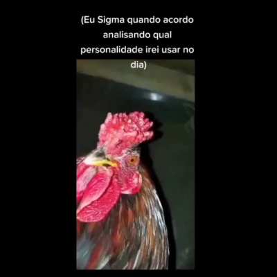 eu escolho o gus