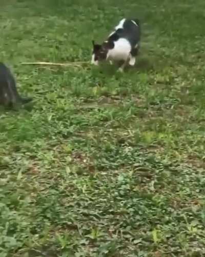 How dare you!!