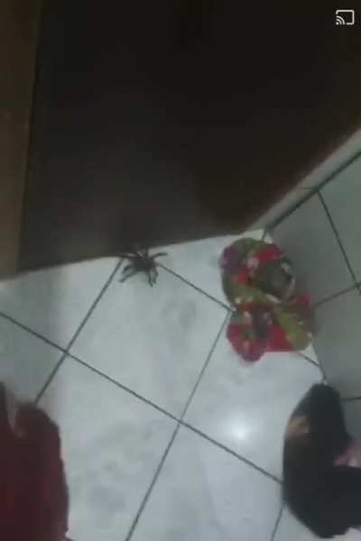 now thats unfortunate