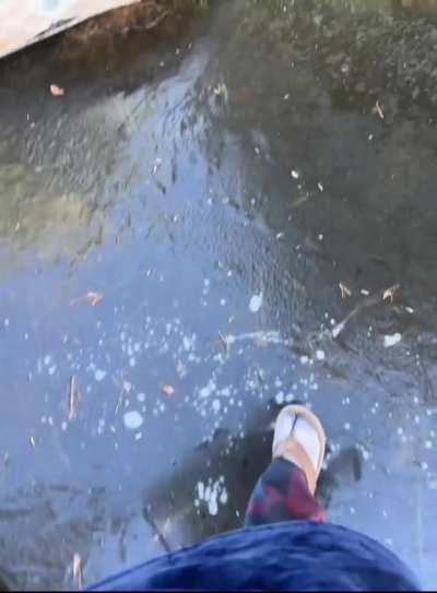 Ice