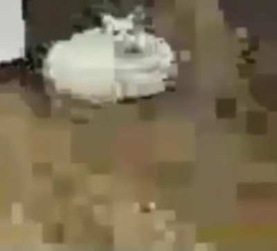 Mi Squad: "Queda uno solo, termina la partida por nosotros" Yo con mi internet tercermundista y con una pc de cart&oacute;n: