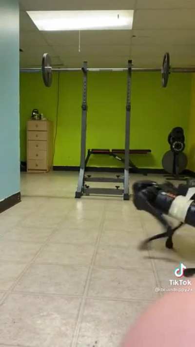 Man attacked by robot dog (credit to @briananddrippy2x)