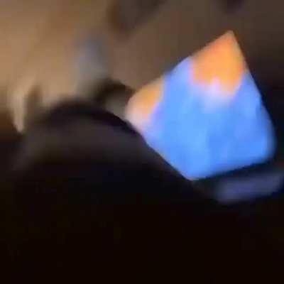 o.o