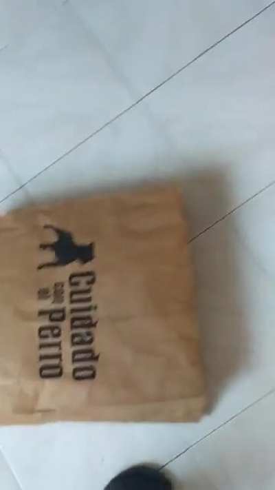 Paper bag says "Beware of dog"