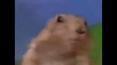 Wholesome video #2