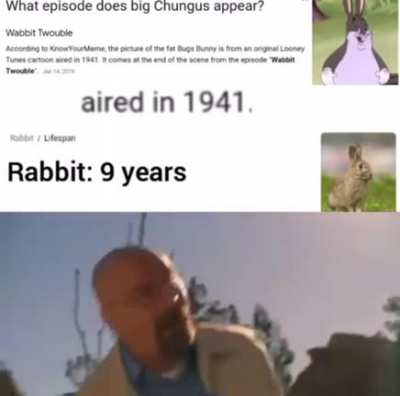 Hitler probably saw big chungus