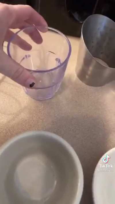 Sneak Level 100