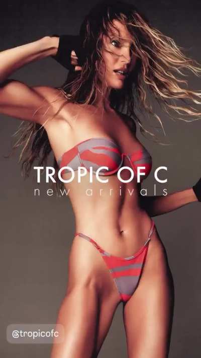 Tropic of C Animal