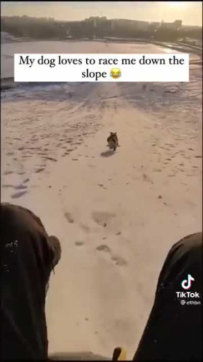 Let&rsquo;s have a race!