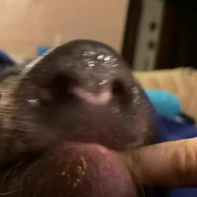 Just a Taste