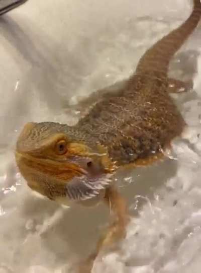 Splish splash I&rsquo;m lovin mah bath 🛁